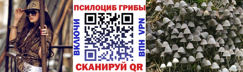 купить  цена  Рыбинск  Псилоцибиновые грибы Psilocybine cubensis 